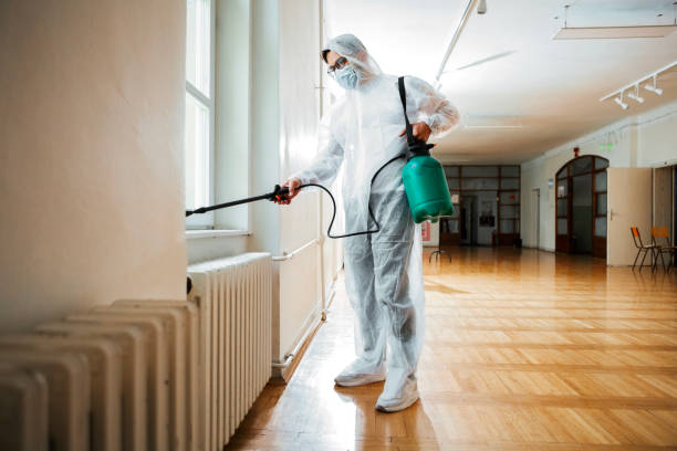 Best Real Estate Pest Inspections  in Elsa, TX